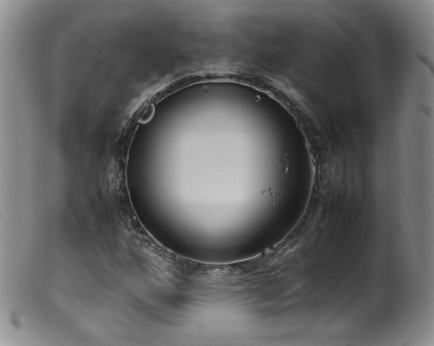 X0000099551160200805161444