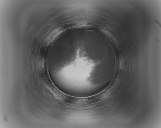 X0000099551161200805161444