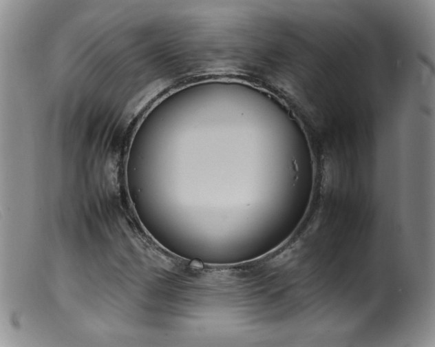 X0000099551162200805161444