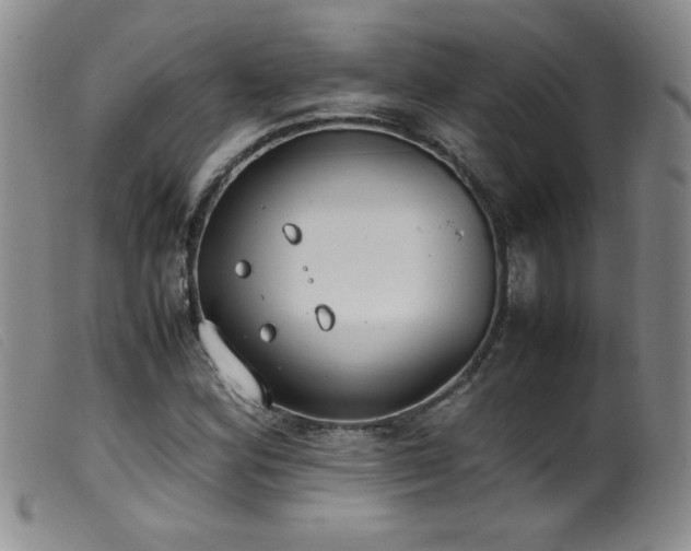 X0000099551164200805161444