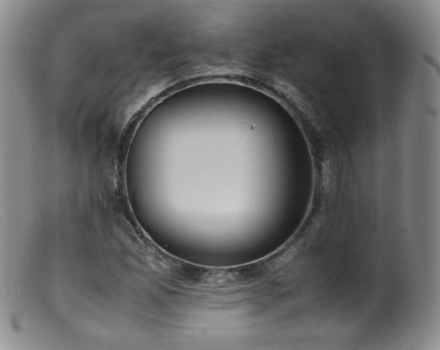 X0000099551165200805161444