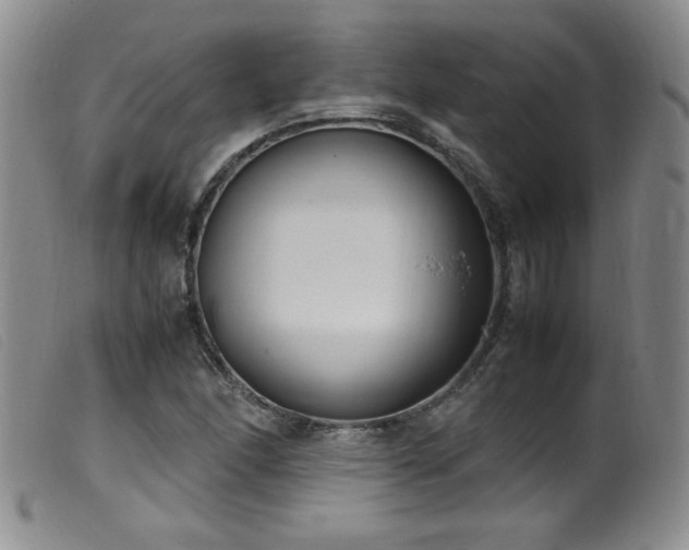 X0000099551166200805161444
