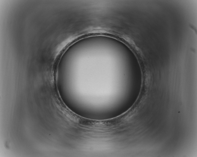 X0000099551167200805161444