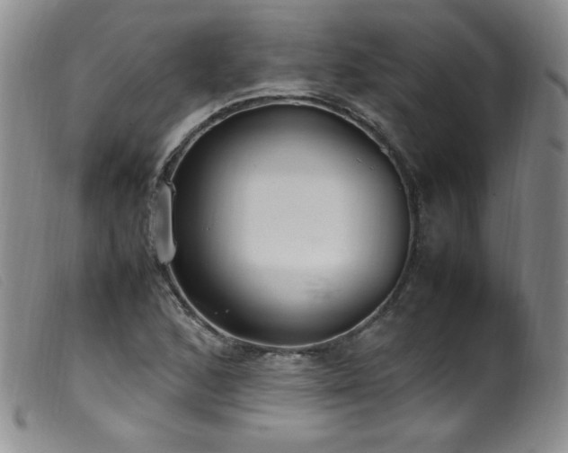 X0000099551168200805161444