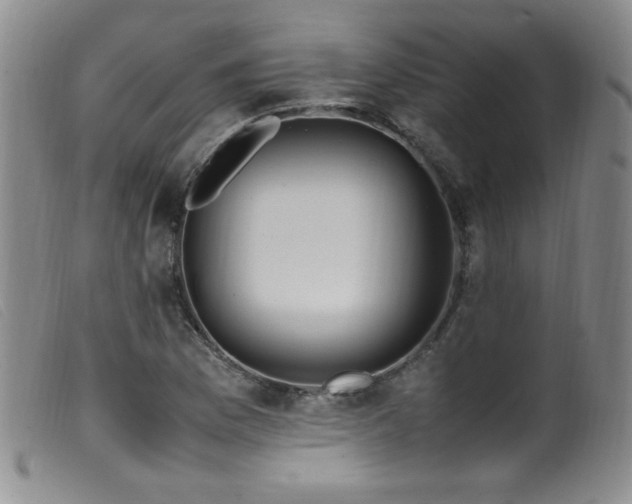 X0000099551169200805161444