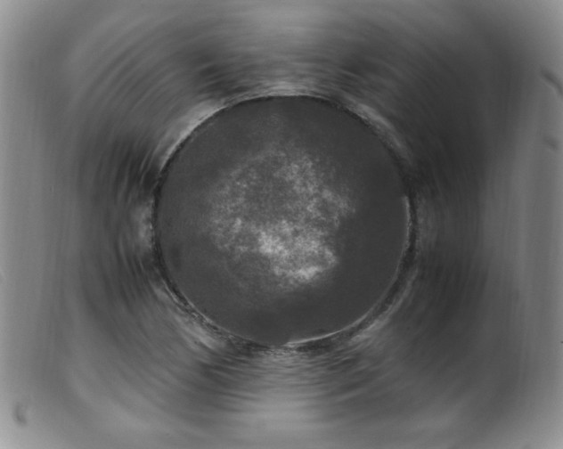 X0000099551170200805161444