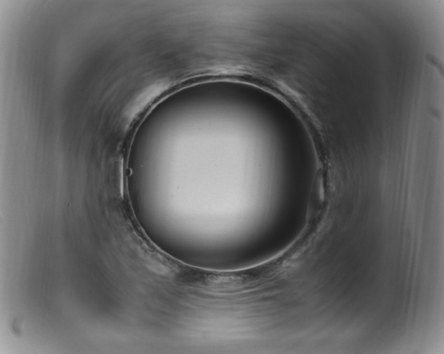 X0000099551171200805161444