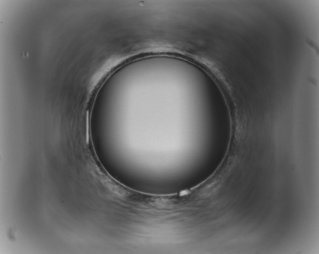 X0000099551175200805161444