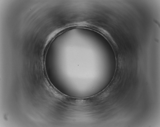 X0000099551176200805161444