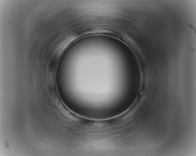 X0000099551177200805161444