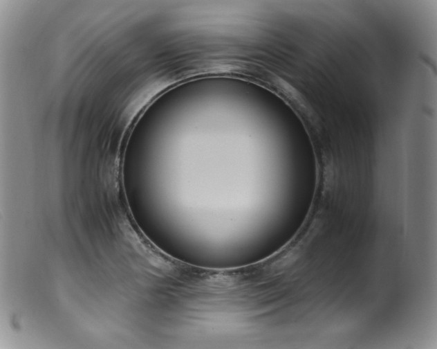 X0000099551178200805161444