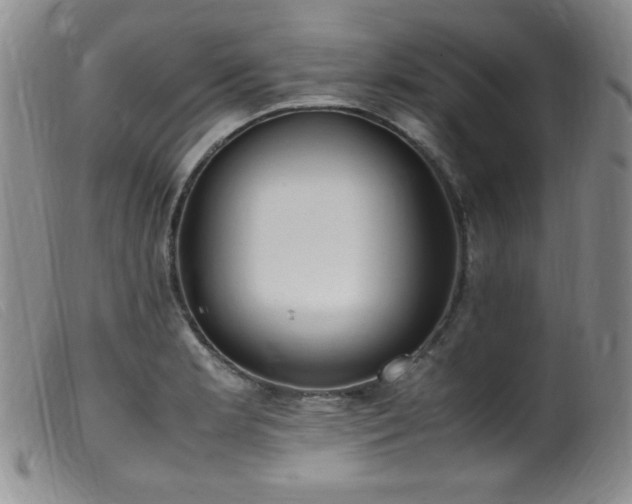 X0000099551181200805161444