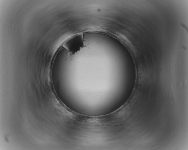 X0000099551182200805161444