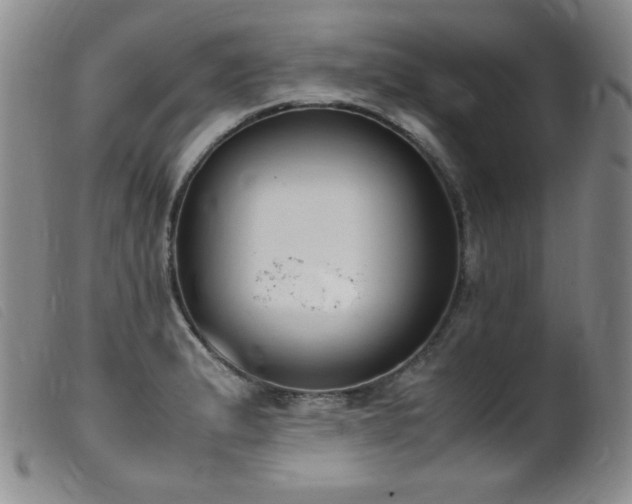X0000099551183200805161444