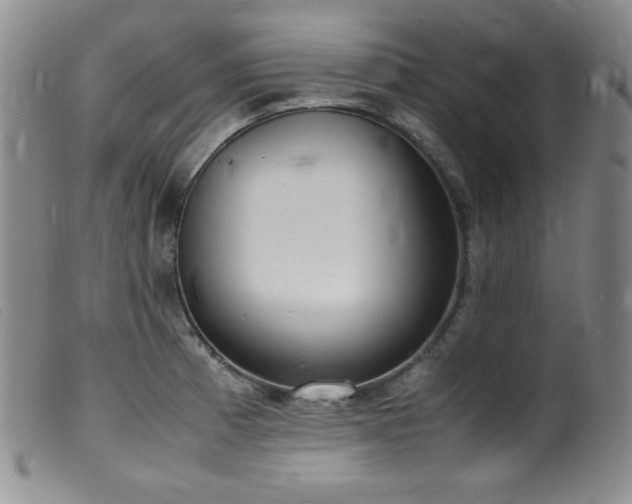 X0000099551185200805161444