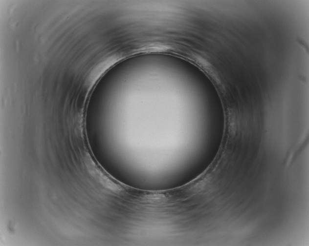 X0000099551186200805161444