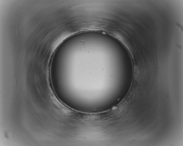 X0000099551187200805161444