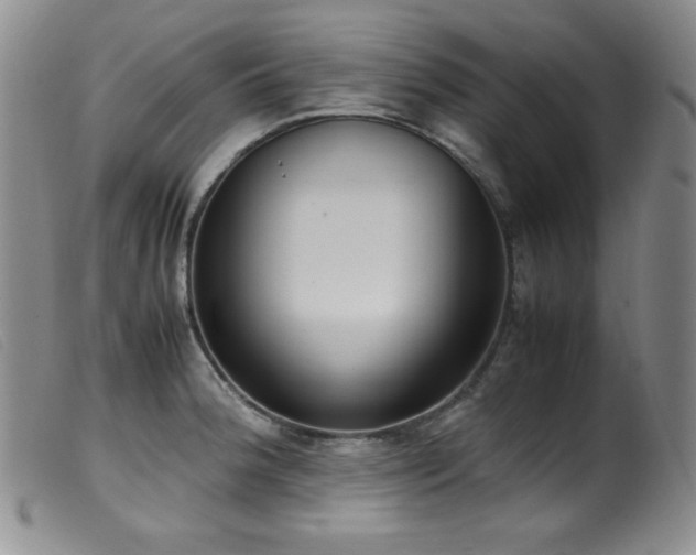 X0000099551188200805161444