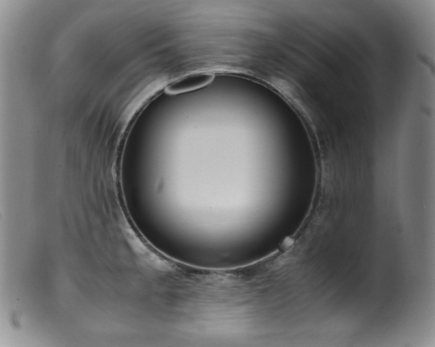 X0000099551189200805161444