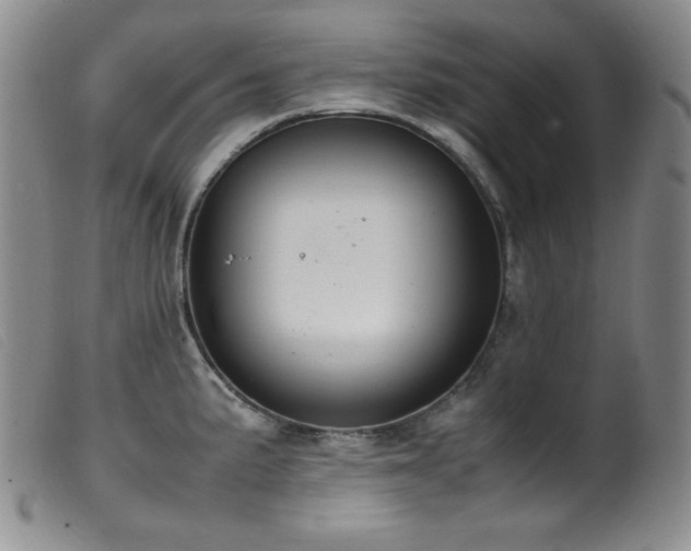X0000099551191200805161444