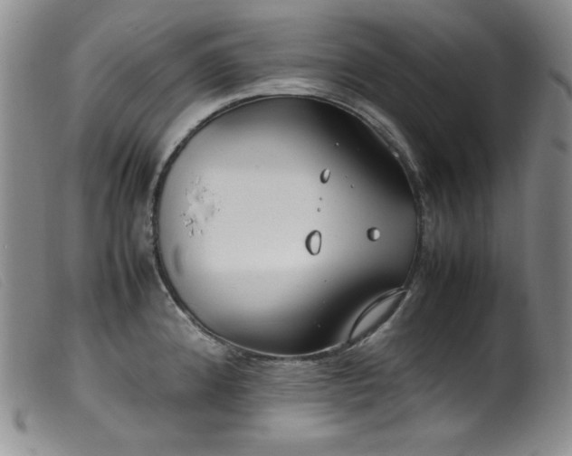 X0000099551192200805161444