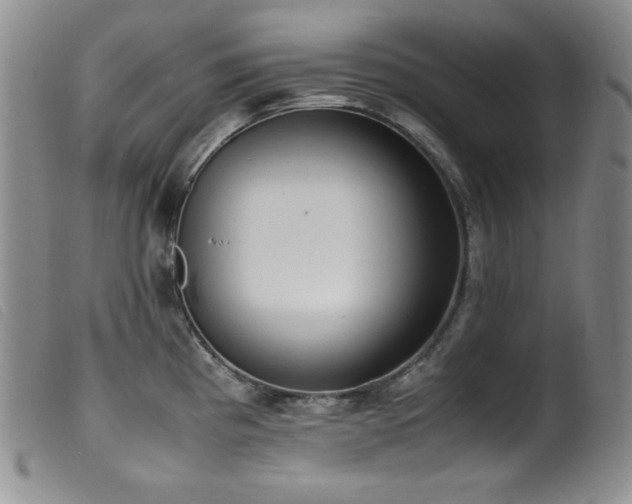 X0000099551193200805161444