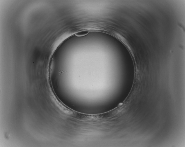 X0000099551195200805161444