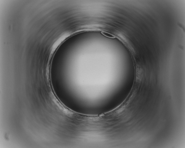 X0000099551196200805161444