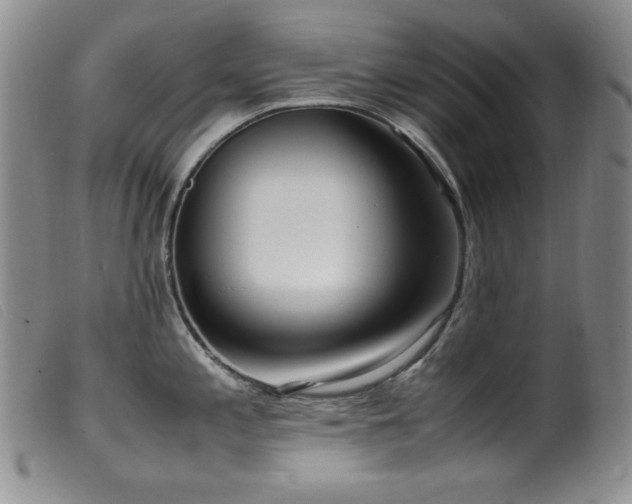 X0000099551197200805161444