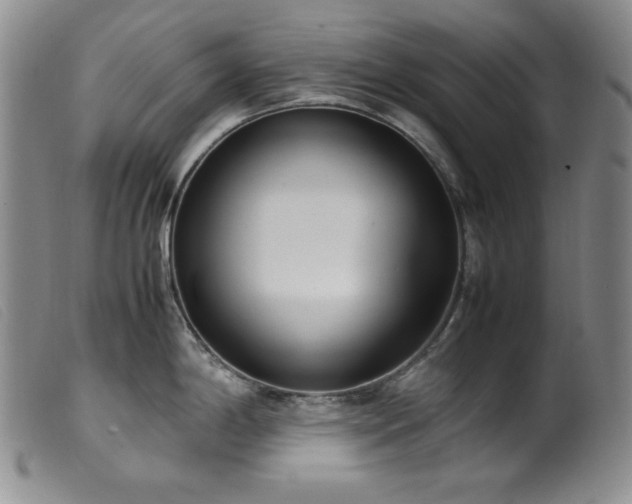 X0000099551198200805161444