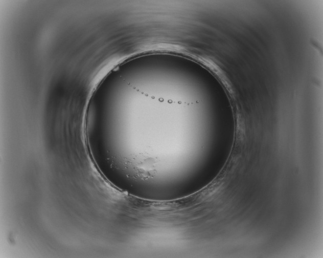 X0000099551199200805161444