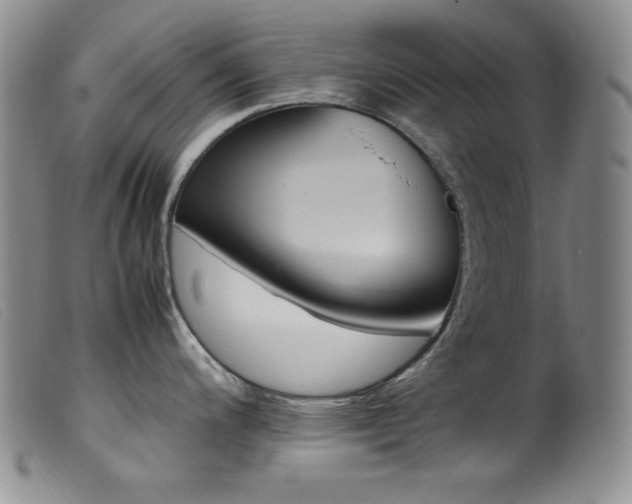 X0000099551200200805161444