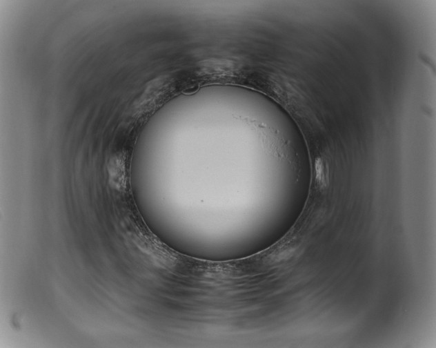 X0000099551203200805161443