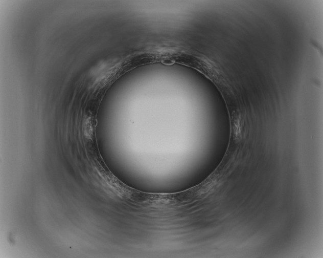 X0000099551204200805161443