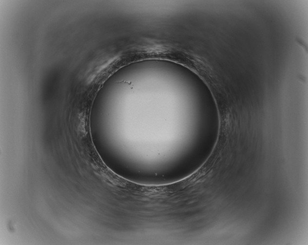 X0000099551205200805161443