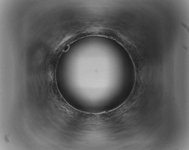 X0000099551206200805161443