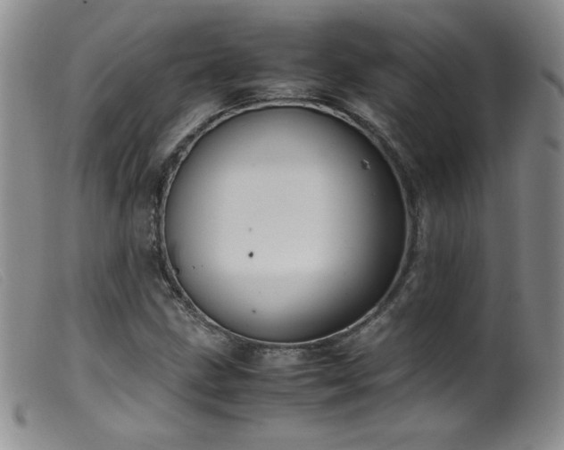 X0000099551211200805161443