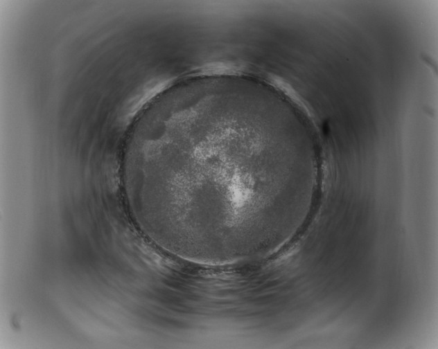 X0000099551213200805161443