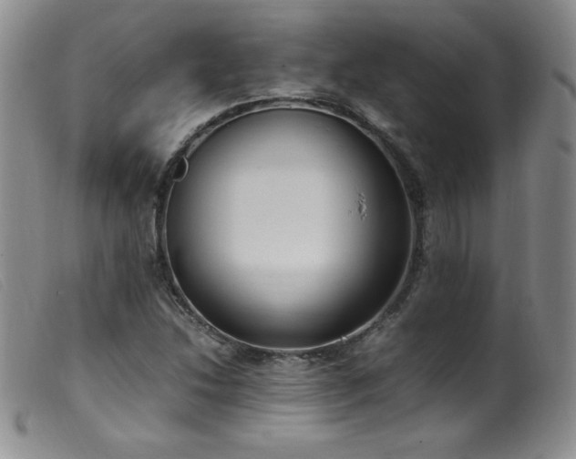 X0000099551214200805161443