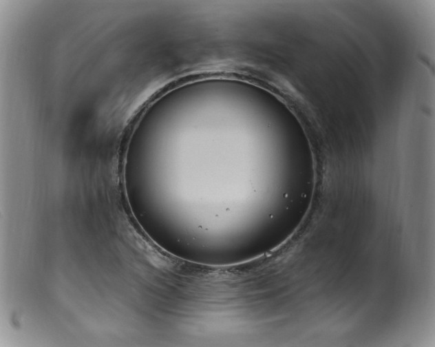 X0000099551216200805161443