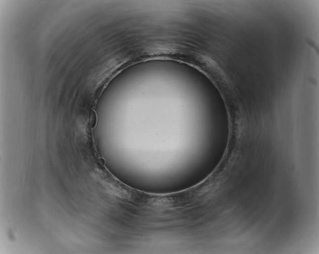 X0000099551217200805161443