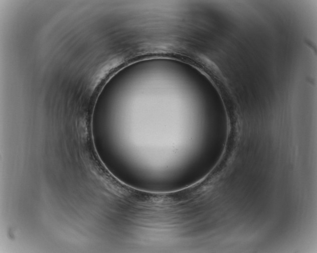 X0000099551218200805161443