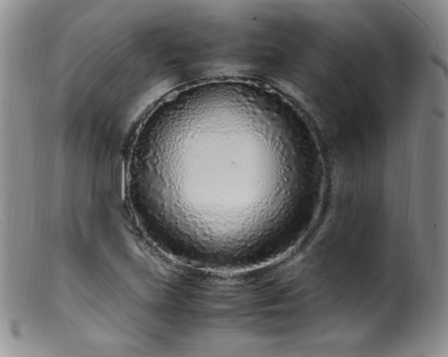 X0000099551219200805161443