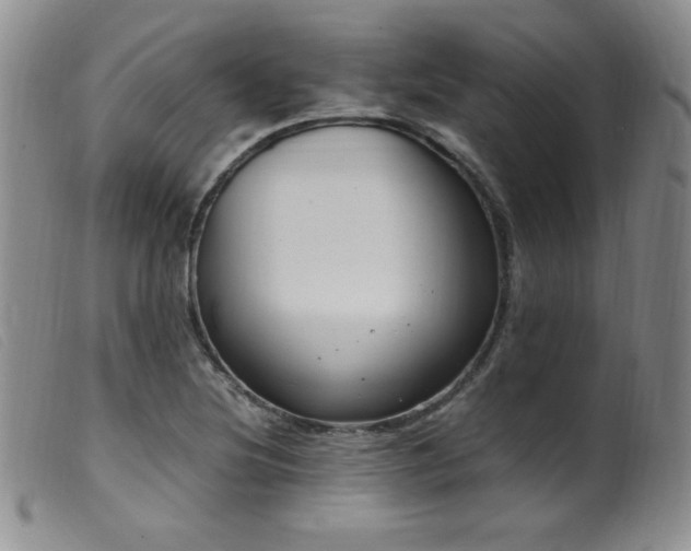 X0000099551220200805161443