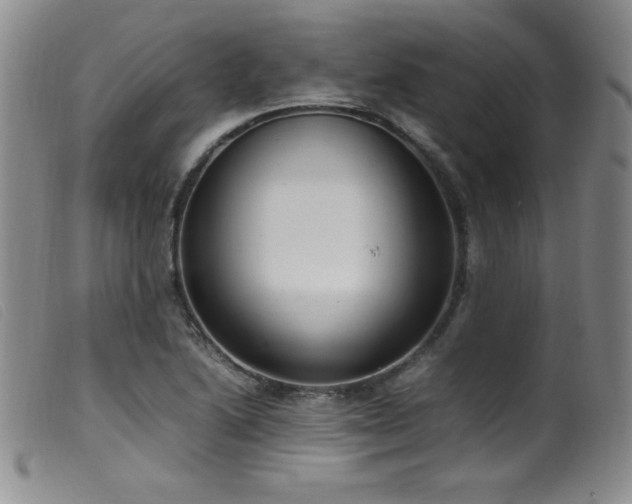 X0000099551222200805161444