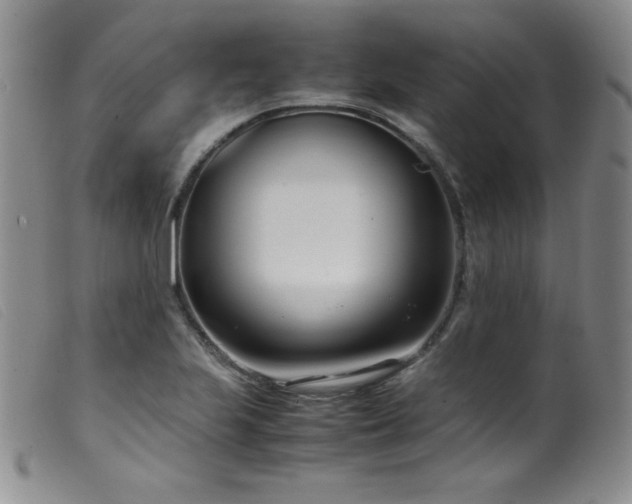 X0000099551223200805161444