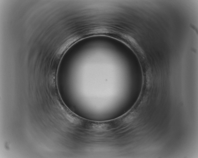 X0000099551225200805161444