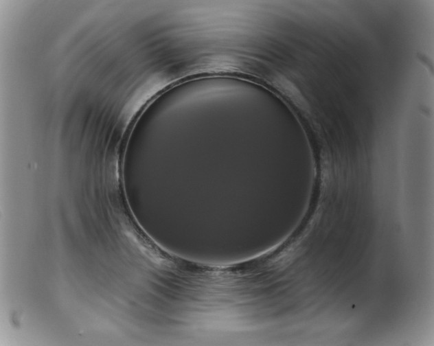X0000099551226200805161444
