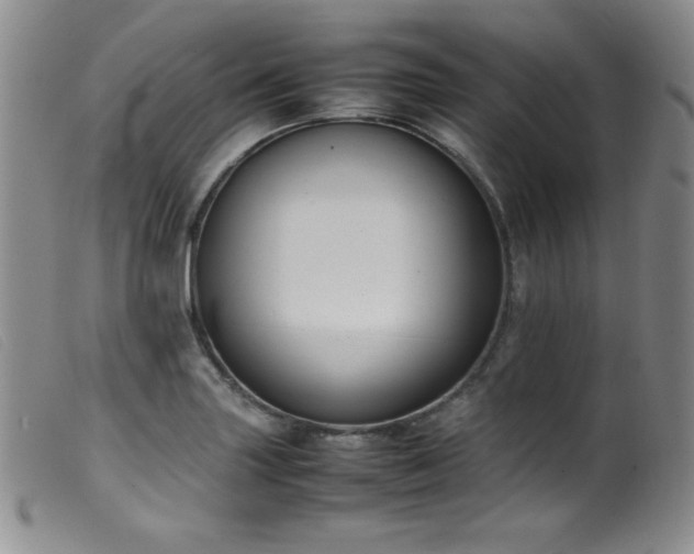 X0000099551227200805161444