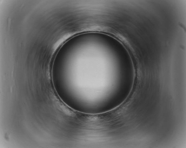 X0000099551230200805161444